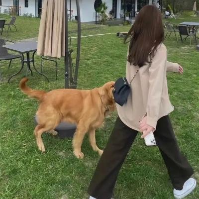 工作者迷失